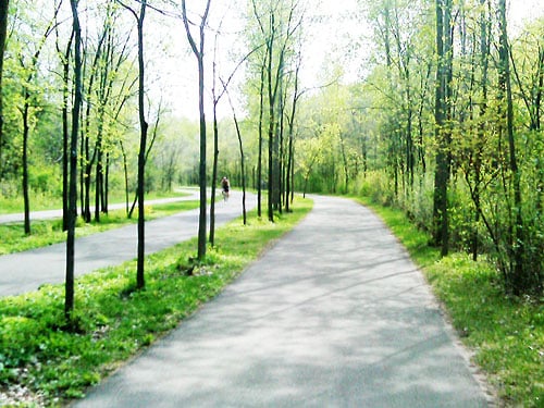 Cedar Lake Trail